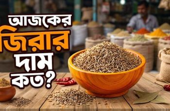 আজকের জিরার দাম কত – বাংলাদেশে আপডেট বাজারদর (২০২৬)