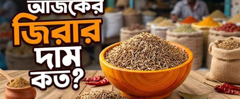 আজকের জিরার দাম কত – বাংলাদেশে আপডেট বাজারদর (২০২৬)
