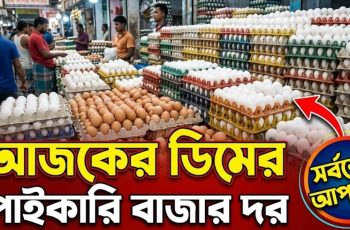 আজকের ডিমের পাইকারি বাজার দর ২০২৬: হালনাগাদ তথ্য ও ক্রয় সচেতনতা