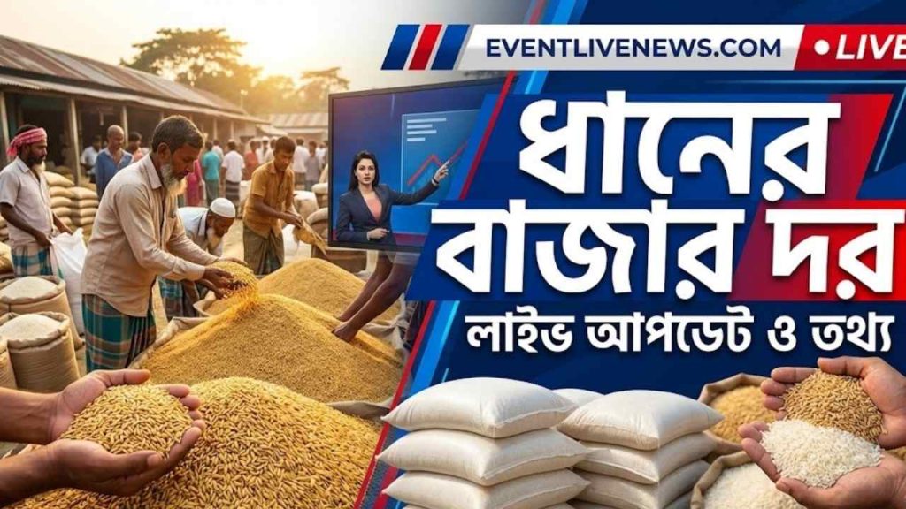 ধানের বাজার দর