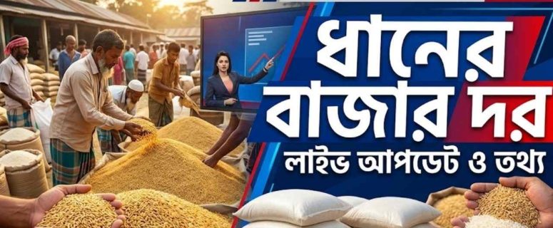 ধানের বাজার দর ২০২৬ । আজকের সর্বশেষ দাম, জাতভিত্তিক মূল্য ও বাজার