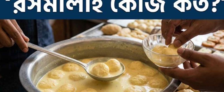 ২০২৬ সালে রসমালাই কেজি কত? বর্তমান বাজার দর ও কেনার সেরা টিপস