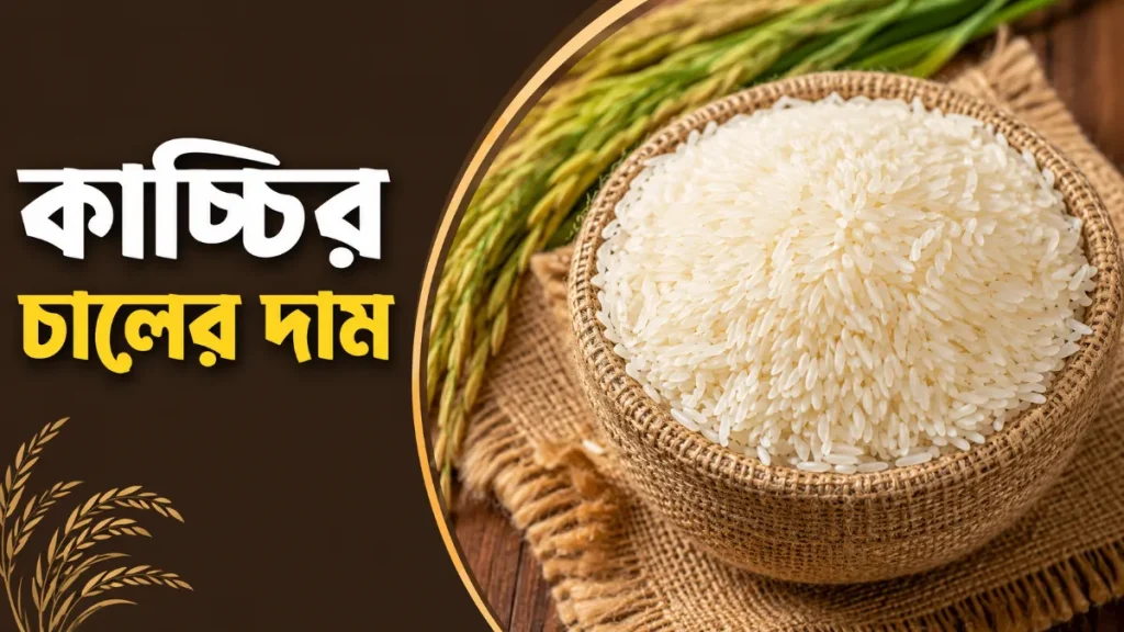 কাচ্চির চালের দাম
